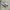 Adidas Casual Sneakers Pria gray photo 2