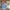 Lee Vintage Streetwear Denim jacket Pria blue photo 3