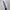 Kappa Y2K Sportswear Pria white blue photo 3