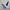 Kappa Y2K Sportswear Pria White Blue
