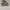 New Balance Casual Sneakers Pria Gray