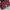 Casual Shoulder bag Wanita burgundy photo 3