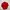 Titleist Y2K Sportswear Track Jacket Pria Red