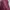 Coquette Casual Casual dress Wanita burgundy photo 1