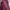 Coquette Casual Casual Dress Wanita Burgundy