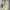 Bershka Y2K Luxury Bags & Purse Wanita Yellow