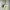Bershka Y2K Luxury Bags & Purse Wanita Yellow