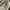 Burberry Luxury Casual Polo shirt Pria white photo 3