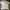 Burberry Luxury Casual Polo shirt Pria white photo 1