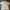 Burberry Luxury Casual Polo Shirt Pria White