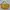 Luxury Handbag Wanita Yellow