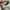 Maison Margiela Streetwear Sneakers Wanita white gray photo 3