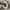 Maison Margiela Streetwear Sneakers Wanita white gray photo 5