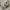 Maison Margiela Streetwear Sneakers Wanita white gray photo 2