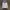 New Balance Sportswear Hoody Pria white photo 1