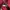 8seconds Casual Bomber jacket Pria red photo 5