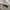 Undercover Casual Sweatshirt Pria white photo 4
