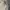 Polo Ralph Lauren Vintage Y2K Sweater Pria yellow photo 2