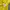 Japanese brand Emo Casual T-shirt Pria yellow photo 5