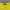 Japanese brand Emo Casual T-shirt Pria yellow photo 4