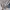 Adidas Casual Hoody Pria silver gray photo 3