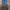 Levi's Skinny Jeans Wanita Navy