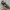 New Balance Streetwear Sportswear Sneakers Pria Black Gray