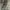 Y2K Lolita Cami top Wanita white gray photo 4