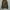 GAP Avant Garde Casual Pea Coat Pria Brown