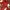 Vanson Biker Leather jacket Pria red photo 3