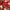 Vanson Biker Leather jacket Pria red photo 4