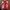 Vanson Biker Leather jacket Pria red photo 2