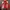 Vanson Biker Leather Jacket Pria Red