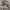 Burberry Avant Garde Casual Pea coat Pria tan photo 2