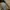 Burberry Avant Garde Casual Pea coat Pria tan photo 3