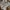 Burberry Avant Garde Casual Pea coat Pria tan photo 4