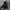 Dickies Streetwear Gorpcore Puffer jacket Pria navy photo 1