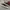 Converse Indie Casual Sneakers Pria red black photo 1