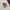 Tommy Hilfiger Y2K Formal shirt Pria multicolor photo 4