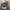 Gorpcore Sportswear Hat Pria white black photo 5