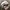 Gorpcore Sportswear Hat Pria white black photo 4