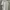 Sportswear Casual Polo shirt Pria white photo 7