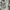 Sportswear Casual Polo shirt Pria white photo 5
