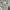 Sportswear Casual Polo shirt Pria white photo 4