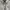 Sportswear Casual Polo shirt Pria white photo 2
