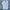 Sportswear Casual Polo Shirt Pria White