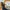 VANS Streetwear Sportswear Hat Pria cream photo 1