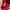 Bershka Streetwear Sweater Wanita Red