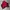 Puma Sportswear Windbreaker Pria red photo 2