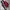 Puma Sportswear Windbreaker Pria Red